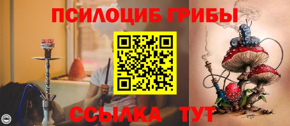 Псилоцибиновые грибы ЛСД Тула